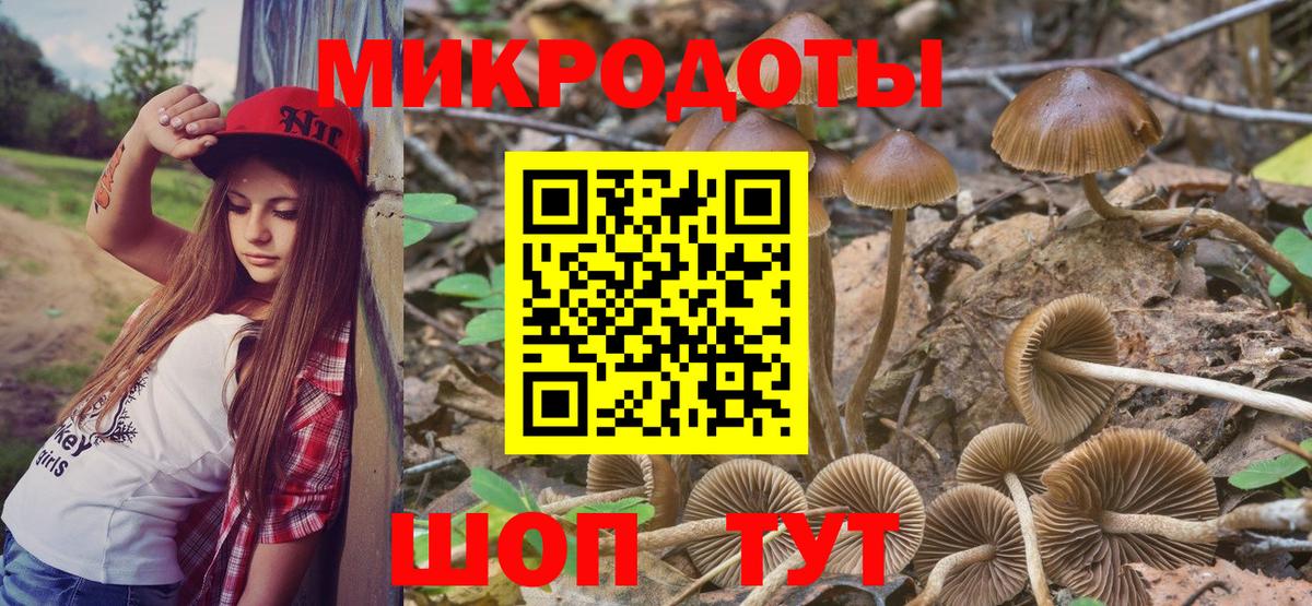 Псилоцибиновые грибы Magic Shrooms Новомосковск